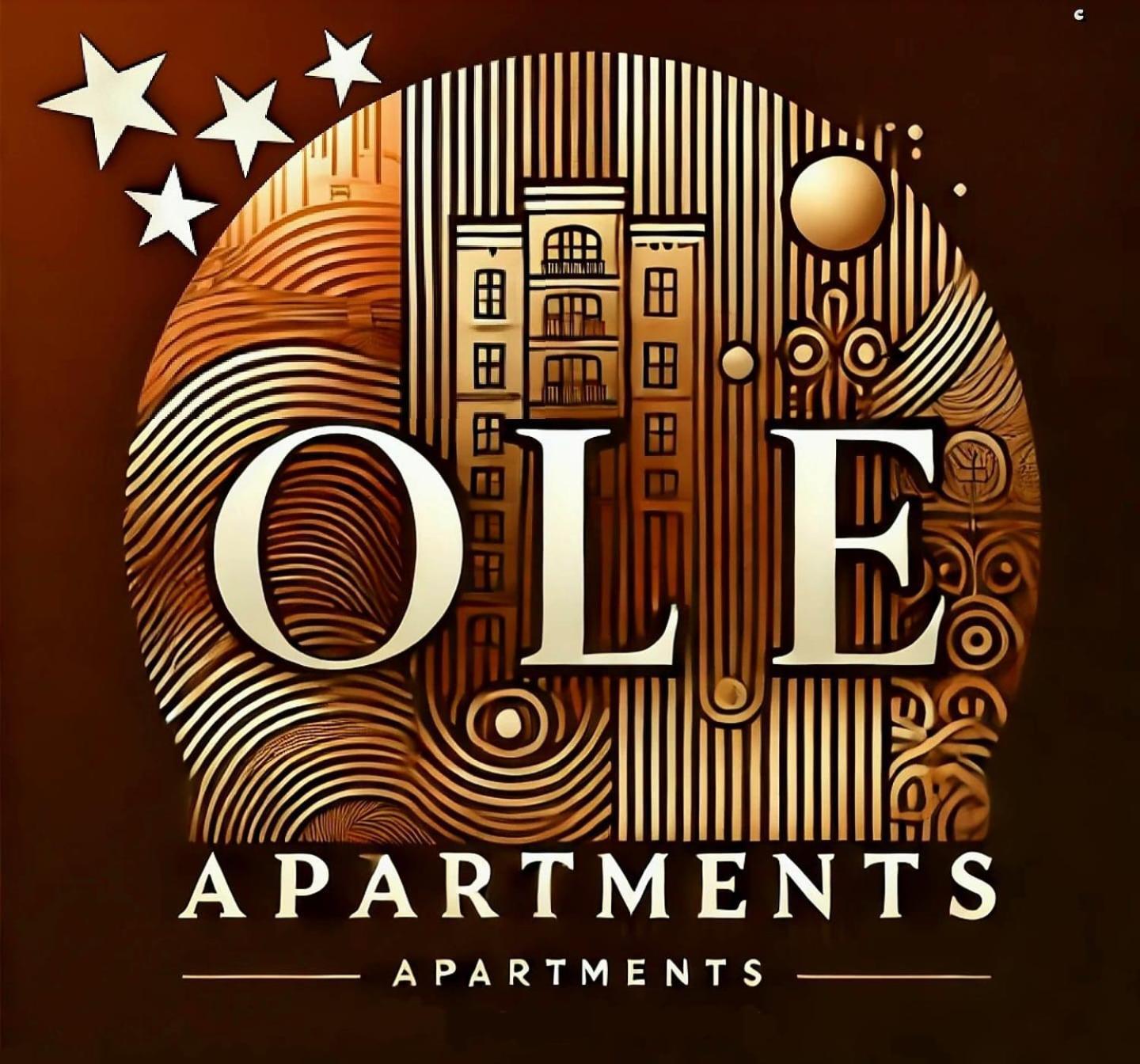 Ole Apartment - Get Your Energy For Free! Coffee And Tea On The House Temešvár Exteriér fotografie